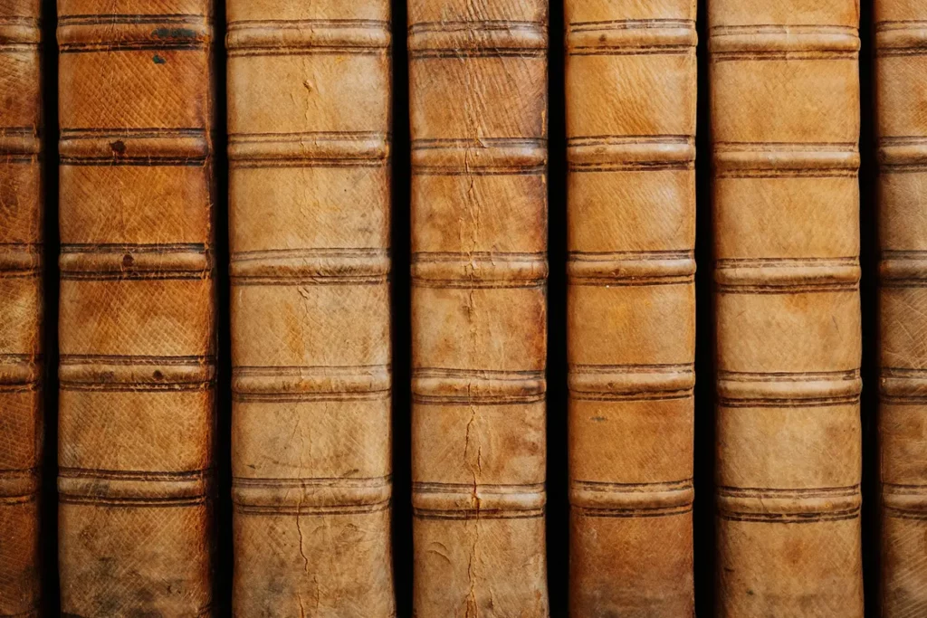 Spines of archive or antique books on a shelf